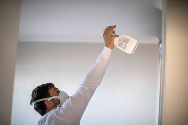 Best Crawl Space Mold Removal  in Plano, IL