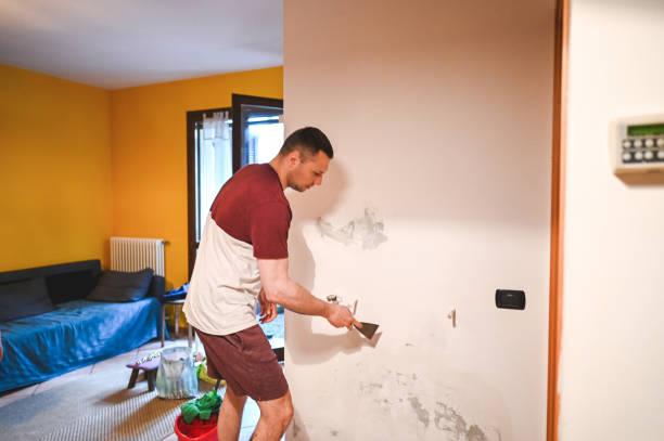 Best Commercial Mold Removal  in Plano, IL